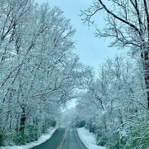 Meet your Posher, Nicholas